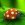 Est�rdio Blog\'s New
